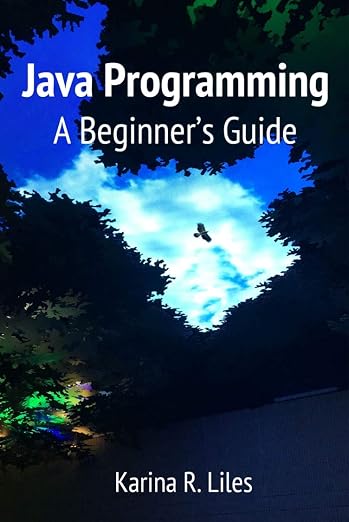 Cover of Java Programming: A Beginner's Guide by Dr. Karina R. Liles